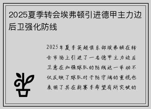 2025夏季转会埃弗顿引进德甲主力边后卫强化防线
